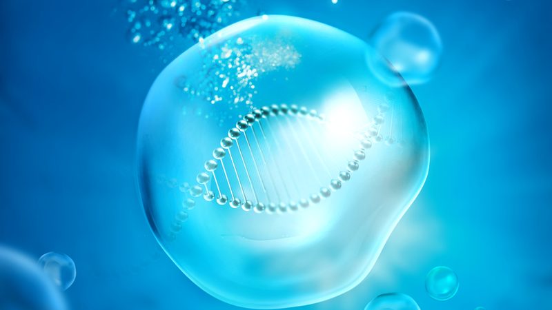CRO数据分析流程：揭秘生物科技研发背后的关键步骤