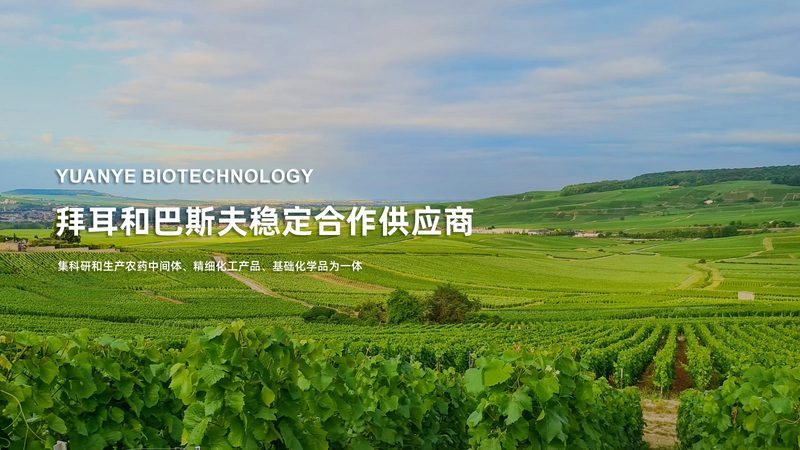 基因测序代理品牌排行榜