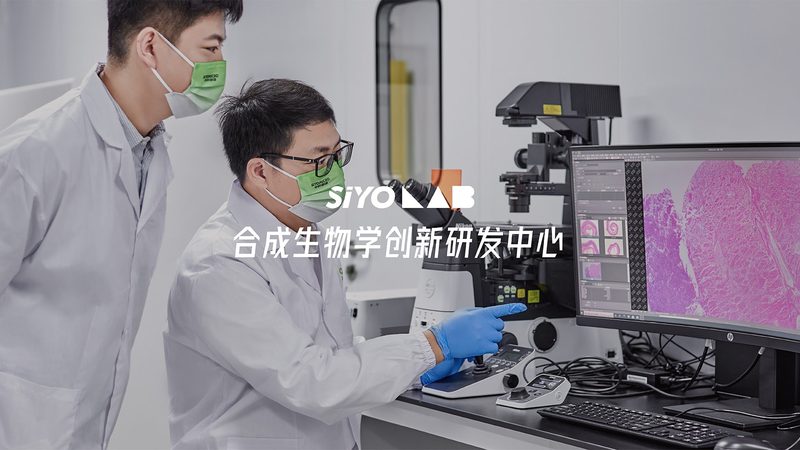 抗体纯化服务：揭秘背后的收费标准与关键因素