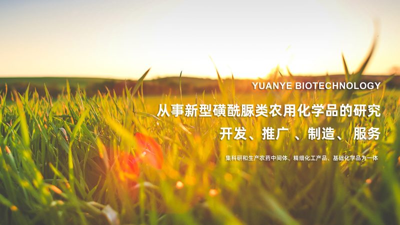 环保酶制剂：绿色生物科技的基石**