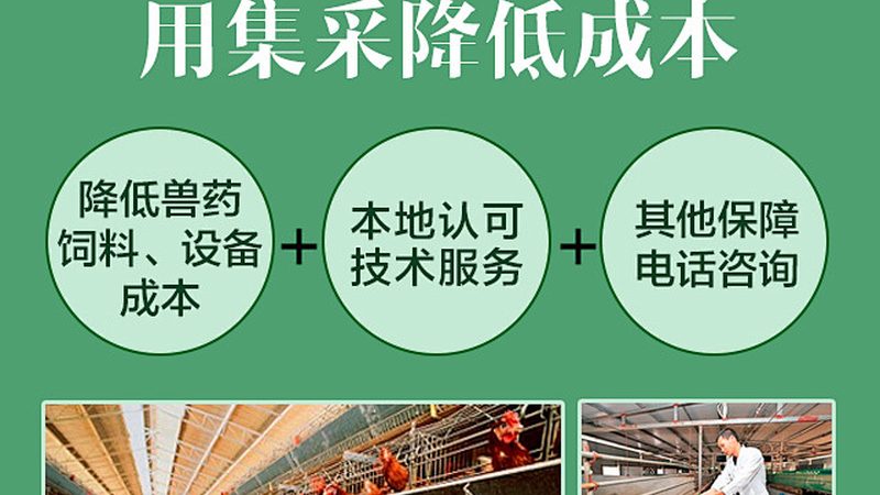逆转录试剂盒：揭秘其核心原理与选型要点