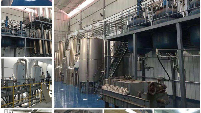 细胞培养基定制，如何避免“量身定制”陷阱？**